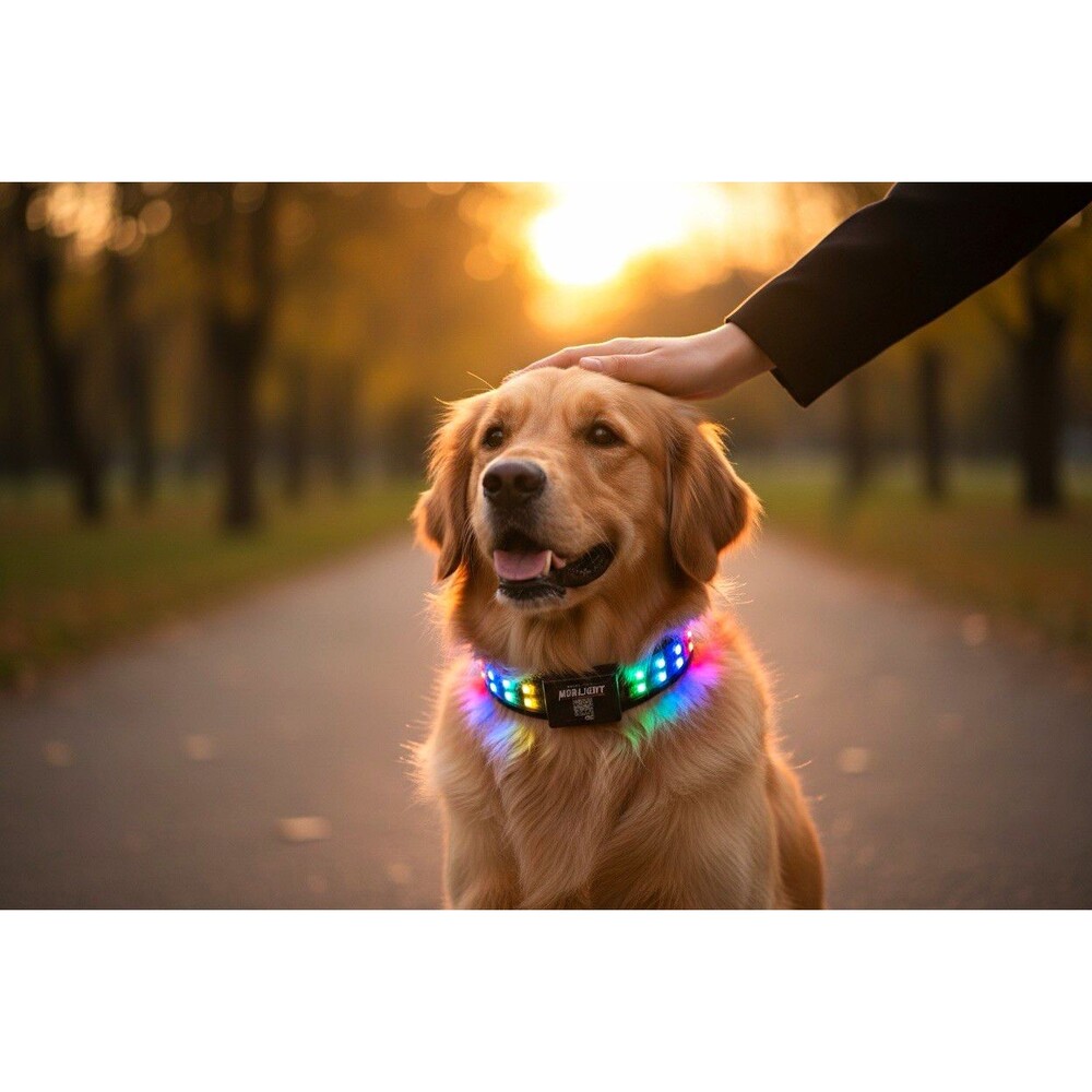 MURLIGHT LED Rechargeable Lighted Dog Collar Bluetooth Nylon Size L